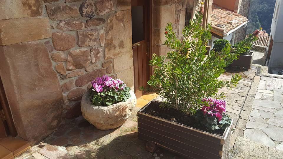 Pocotrigo * Linares (Cantabria)