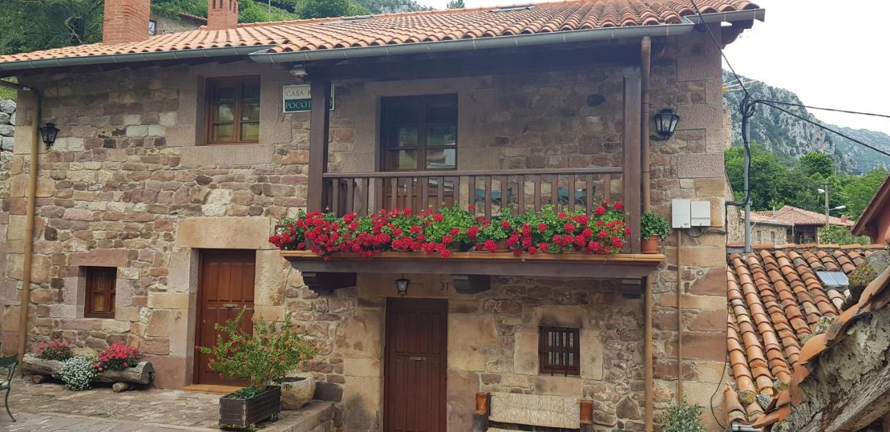 Pocotrigo * Linares (Cantabria)